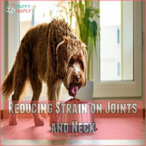 Reducing Strain on Joints and Neck