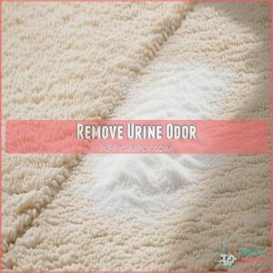 Remove Urine Odor