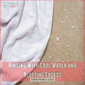 Rinsing With Cool Water and Blotting Excess