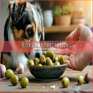 Risks and Precautions