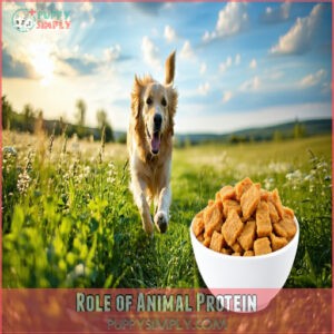 Role of Animal Protein