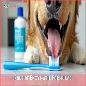 Role of Enzymatic Formulas