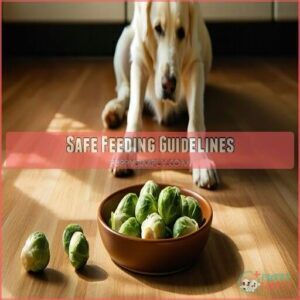 Safe Feeding Guidelines