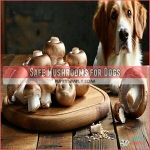 Safe Mushrooms for Dogs