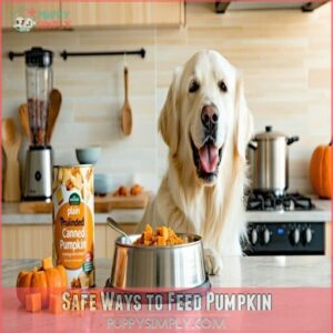 Safe Ways to Feed Pumpkin