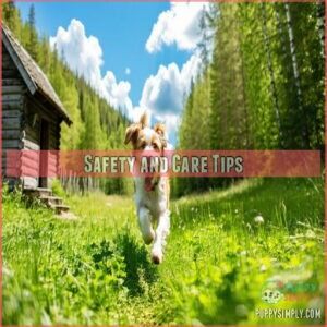 Safety and Care Tips