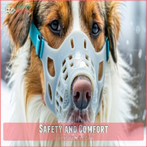 Safety and Comfort