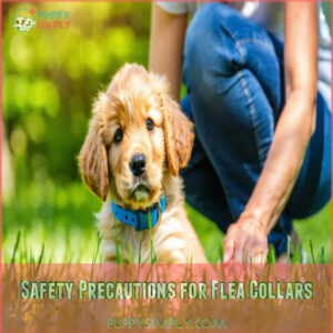 Safety Precautions for Flea Collars