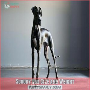 Scooby Doo Size and Weight