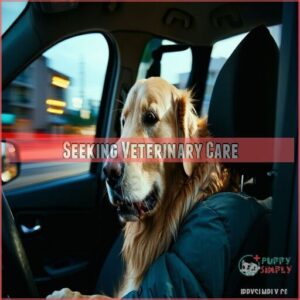 Seeking Veterinary Care