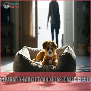 Separation Anxiety and Fear-Based Issues