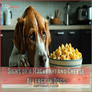 Signs of a Macaroni and Cheese Allergy in Dogs