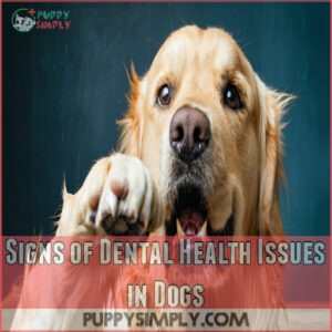 Signs of Dental Health Issues in Dogs