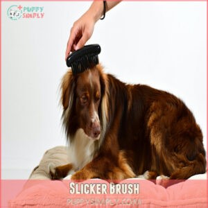 Slicker Brush