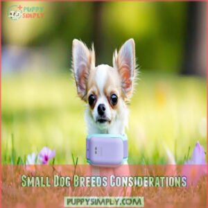 Small Dog Breeds Considerations