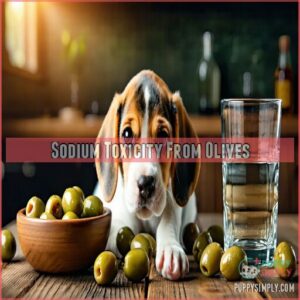 Sodium Toxicity From Olives