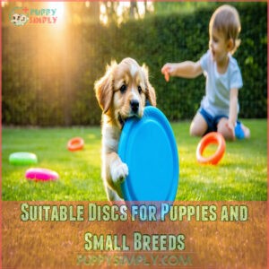 Suitable Discs for Puppies and Small Breeds