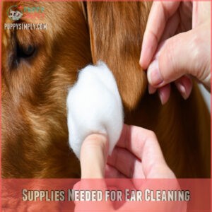 Supplies Needed for Ear Cleaning