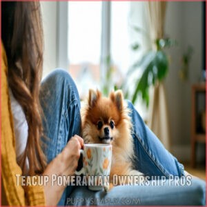 Teacup Pomeranian Ownership Pros