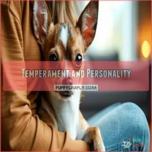 Temperament and Personality