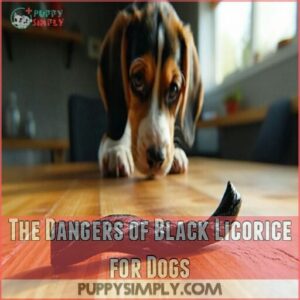 The Dangers of Black Licorice for Dogs