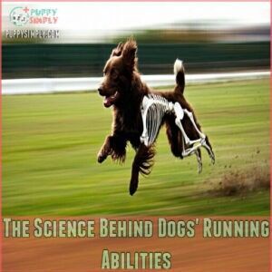 The Science Behind Dogs