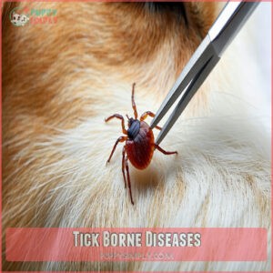 Tick Borne Diseases