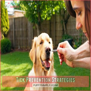 Tick Prevention Strategies