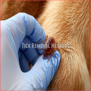 Tick Removal Methods