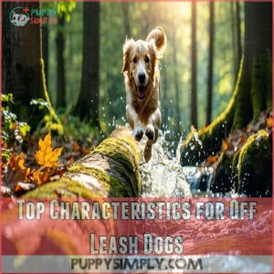 Top Characteristics for Off Leash Dogs