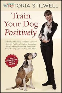 Train Your Dog Positively: Understand