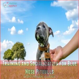 Training and Socialization for Blue Nose Pitbulls