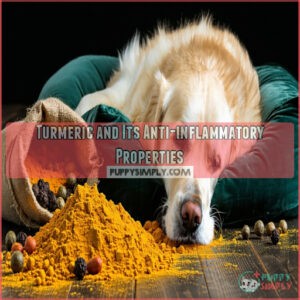 Turmeric and Its Anti-inflammatory Properties