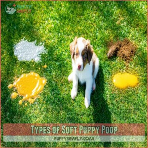 Types of Soft Puppy Poop