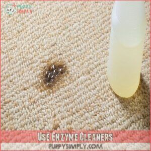 Use Enzyme Cleaners