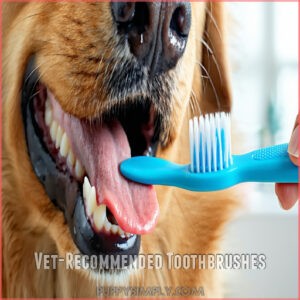 Vet-Recommended Toothbrushes