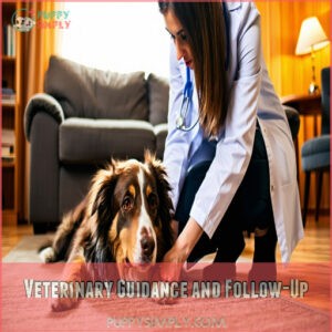 Veterinary Guidance and Follow-Up