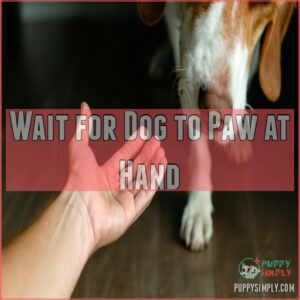 Wait for Dog to Paw at Hand