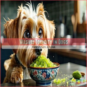 Wasabi Toxicity in Dogs