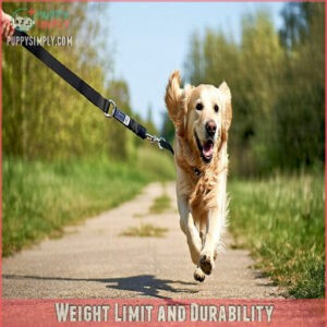 Weight Limit and Durability