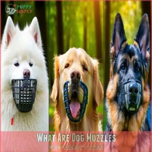 What Are Dog Muzzles