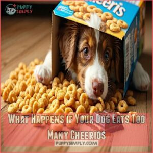 What Happens if Your Dog Eats Too Many Cheerios