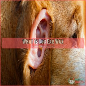 What is Dog Ear Wax