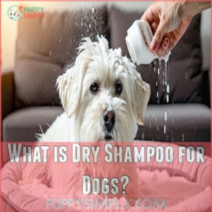 What is Dry Shampoo for Dogs