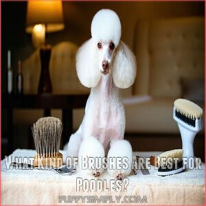 What Kind of Brushes Are Best for Poodles