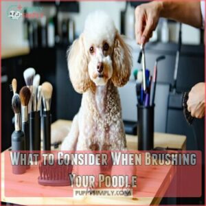 What to Consider When Brushing Your Poodle