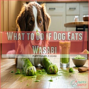 What to Do if Dog Eats Wasabi