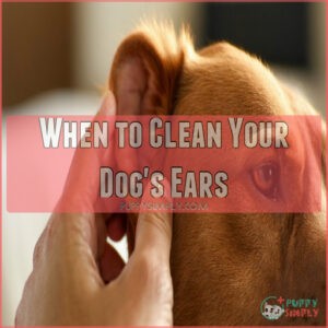 When to Clean Your Dog