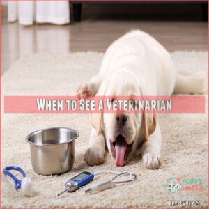 When to See a Veterinarian