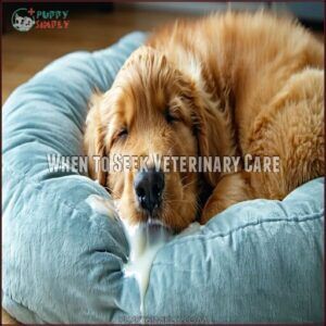 When to Seek Veterinary Care